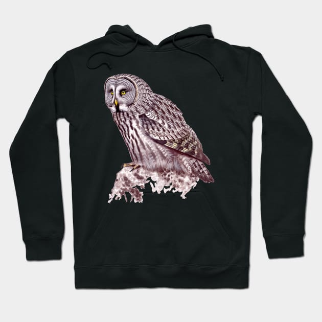 Great Grey Owl Hoodie by kokayart